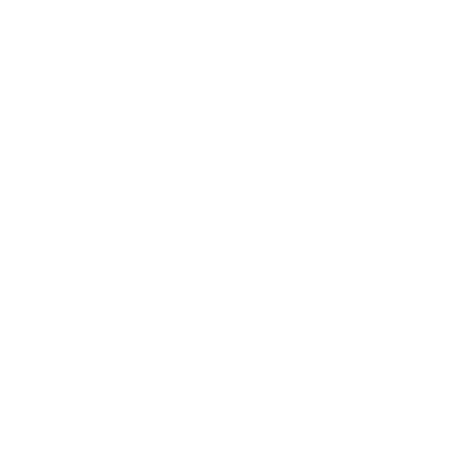Axcient Partner