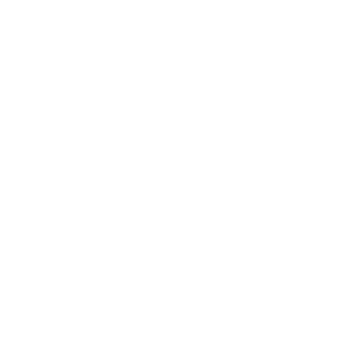 ESET Bronze Partner