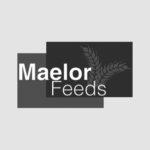 Maelor Feeds