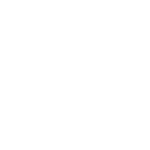 Google Cloud Backup