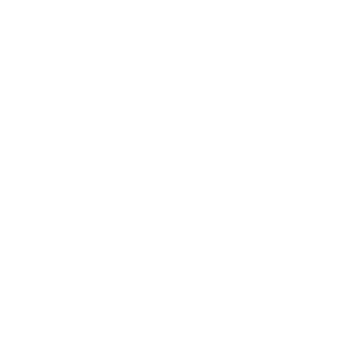Backupify - SaaS Backup